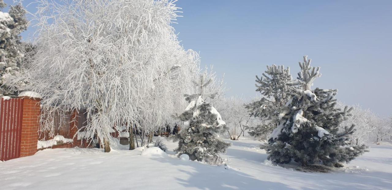 Bialowolskie Wzgorze Zamość Buitenkant foto